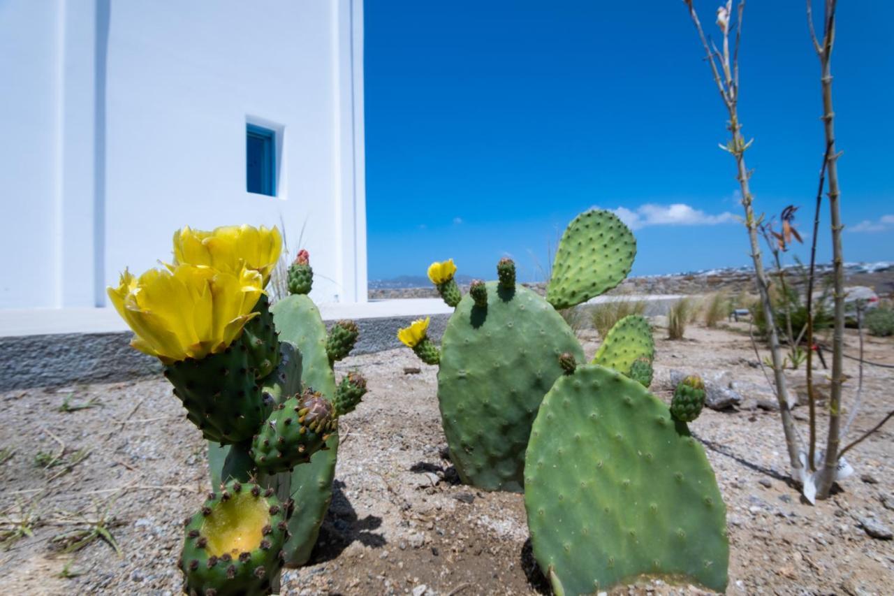 Lilly Villa By Bestofmikonos Ornos  Zewnętrze zdjęcie